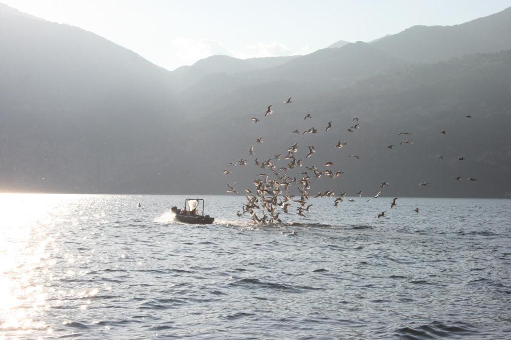 Hotel Nettuno Brenzone sul Garda Esterno foto